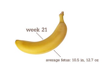 week21
