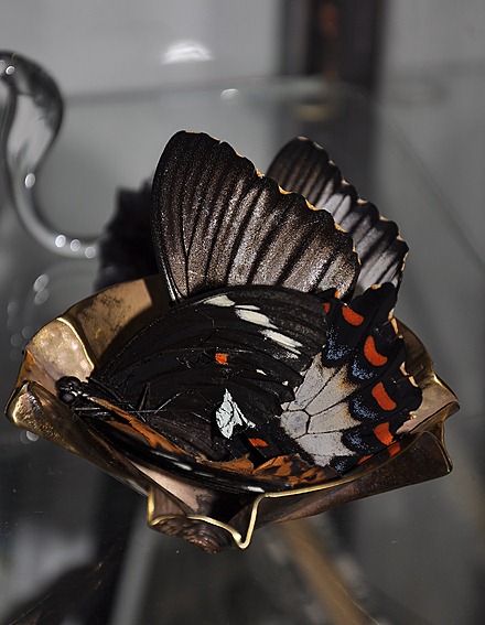 [wunderkammer%255B9%255D.jpg]