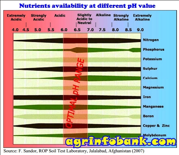 Nutrients availability at different pH value