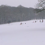 IMAG0220.jpg