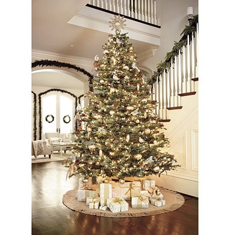 [Ballard-Christmas-Tree4.jpg]