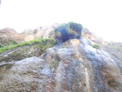 DSCN3882.jpg
