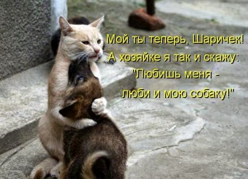 [d3b7e0cf12994fc07337ac42992_prev%5B3%5D.jpg]