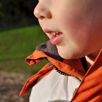 DSC_7509-2.jpg
