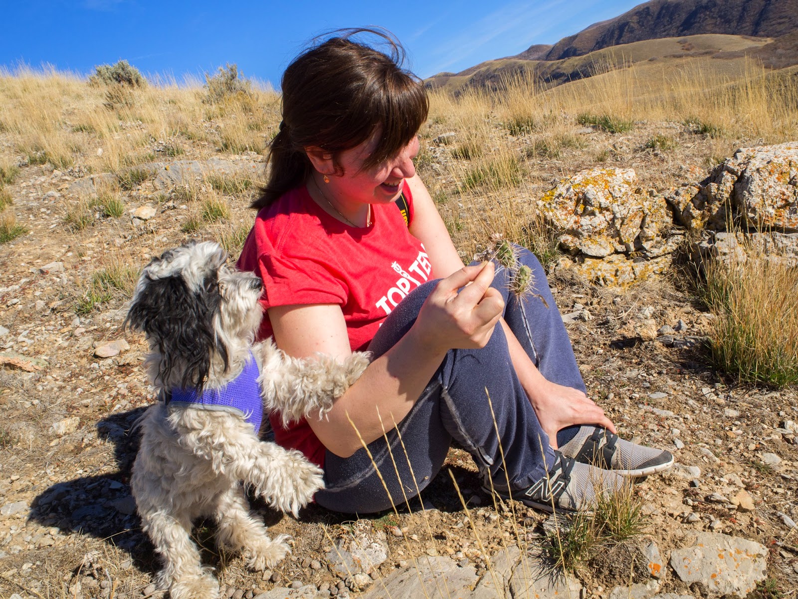 [20141109-0061%255B7%255D.jpg]