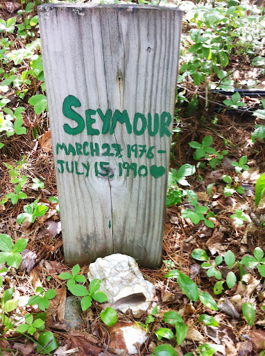 Mom wept as she discovered the marker she had painted for Seymour over 20 years ago!... Sandbar's residents had lovingly cared for his grave... Mom wept as she discovered the marker she had painted for Seymour over 20 years ago!... Sandbar's residents had lovingly cared for his grave...