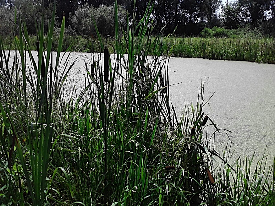 P160711_12.43.jpg