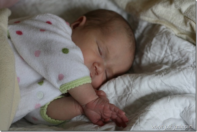 Sleeping Beauty