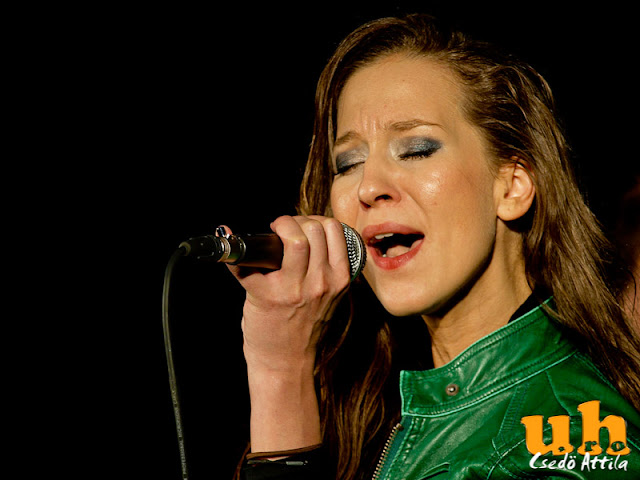 coldrockfest-9166816.jpg
