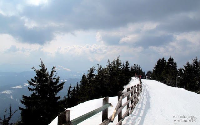 Schi-Poiana-Brasov-2032.jpg