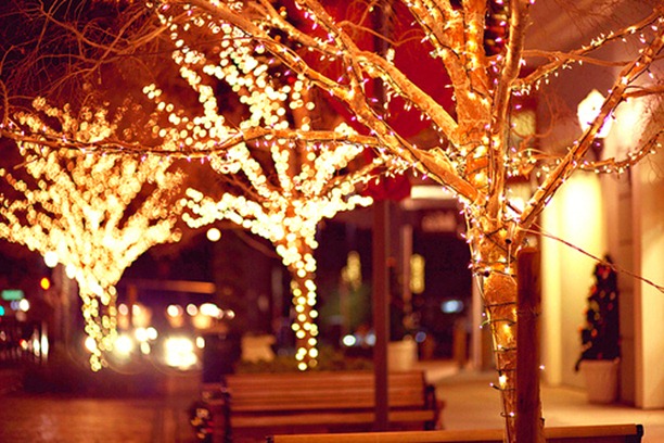 tumblr_mez11aaDcV1qmw7bgo1_500_large