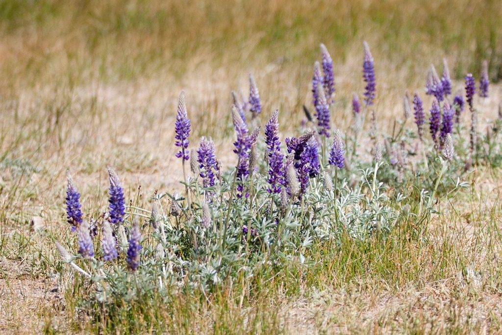 [20130625-IMG_23784.jpg]