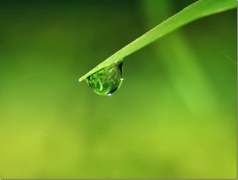 http://lh6.ggpht.com/-uLRpn1L2l9I/UpbLIv8FW2I/AAAAAAAAD9k/7yMldcD6vKg/11-13-ikhlas_thumb%25255B1%25255D.jpg?imgmax=800