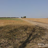 dsc06833.jpg