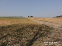 dsc06833.jpg