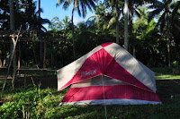 pinoyecofarm november_0018.JPG
