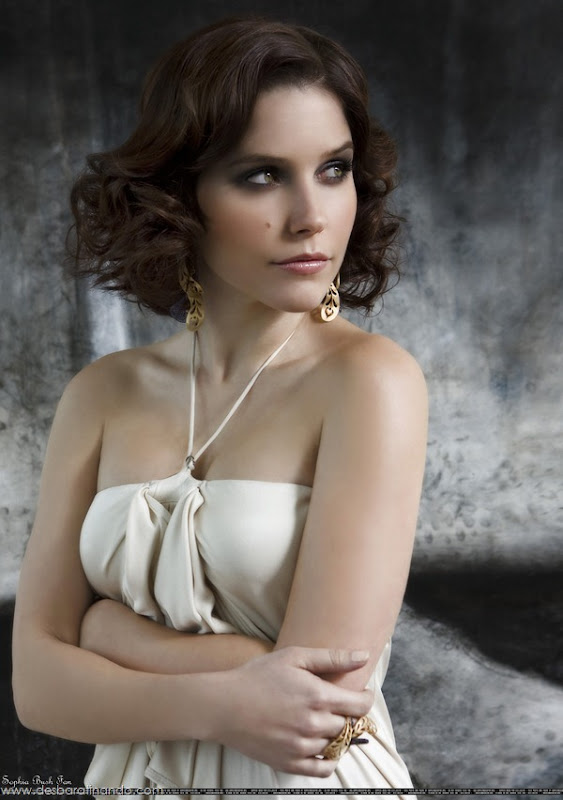 sophia-bush-linda-sexy-sensual-fofa-photo-desbaratinando (83)