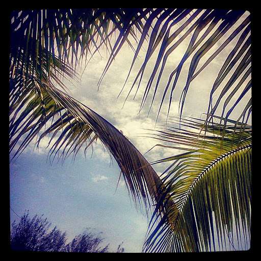  Wordless Wednesday: Langit Gold Coast Morib