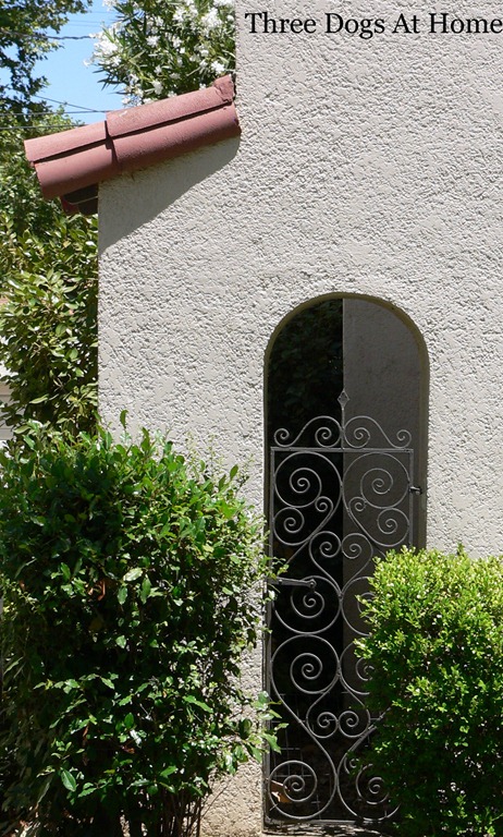 [gate-pics-0369.jpg]
