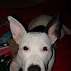 DSC02246.JPG