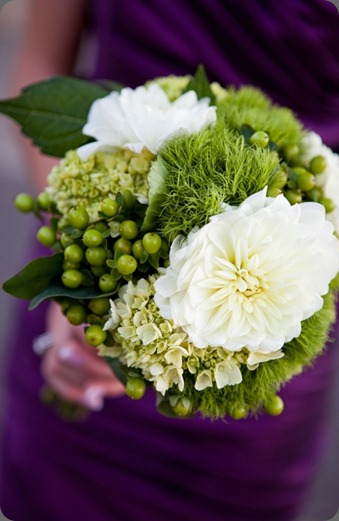 6a010535ded4be970c014e60ecb786970c just bloomed 6a010535ded4be970c014e60ecb786970c just bloomed