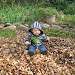 Playing In The Leaves