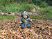 Playing In The Leaves