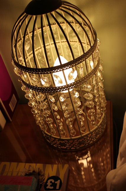 IMG_0480 IMG_0480