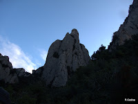 P1120107.jpg Photo