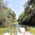 DSCN2937.JPG