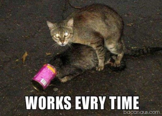 [bacanaus-imagens%2520%252835%2529%255B2%255D.jpg]