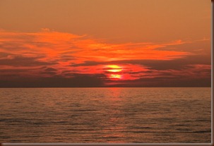 IMG_5679 IMG_5679