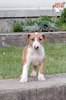 Karmacoma Suntoucher 7 weeks
