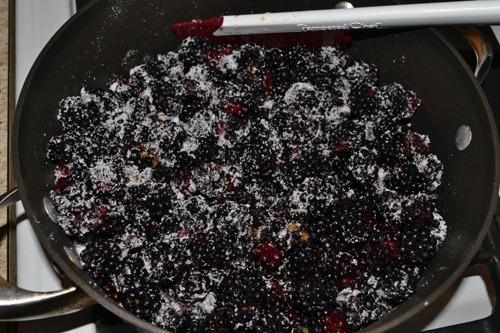 [sugared%2520blackberries%255B3%255D.jpg]