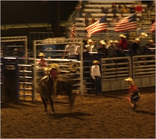 Bull riding, Mid-State Fair