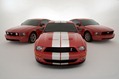 Shelby-Caroll-81
