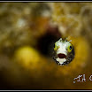 2010-4 British Virgin Islands_287.jpg