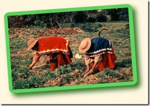 bolivia5 bolivia5