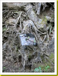 IMG_6612 IMG_6612