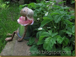 ! IMG_0384 ! IMG_0384