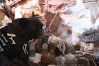 Kristin collected real dead birds, snake skins, and hair balls for the set.  Yuck, but they really do the job!