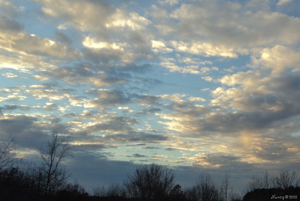 [DSC0633111.jpg]