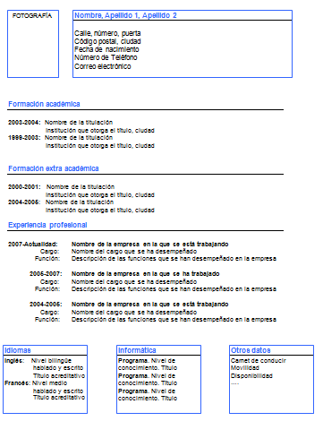 Plantilla Curriculum Vitae