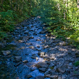 IMG_8755.jpg