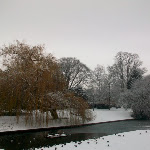 image20.jpg