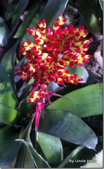 2012-03-04_11-04-04_201 2012-03-04_11-04-04_201