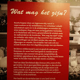 IMGP6270.JPG