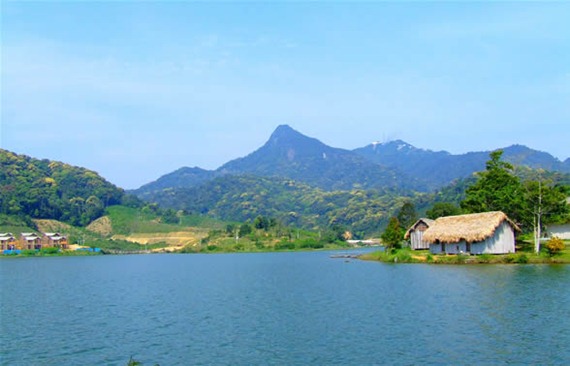 Jianfeng Ridge Tropical Rainforest