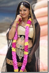 actress_anushka_latest_hot_photos