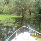 IMG_3457.JPG